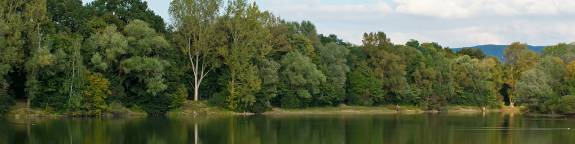 Herzlich Willkommen in Bickenbach