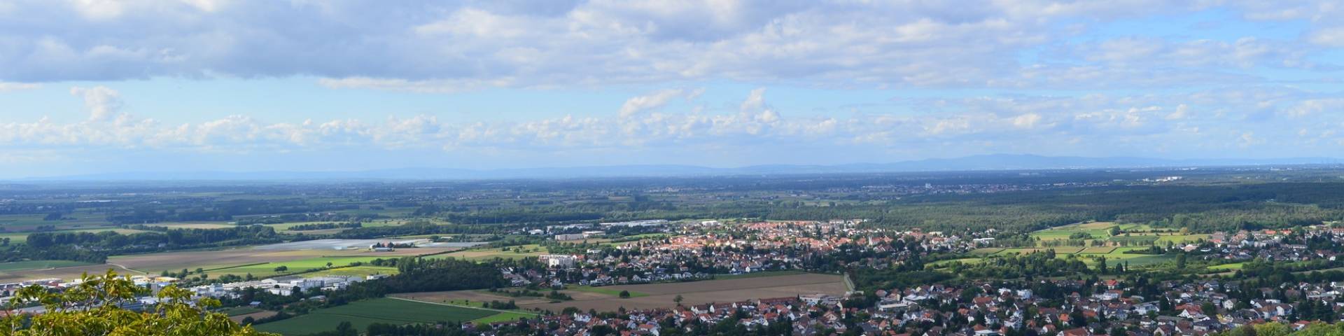 Aktuelles