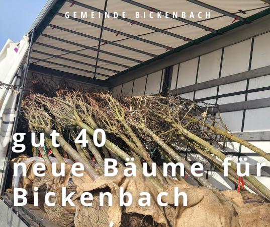 Bäume