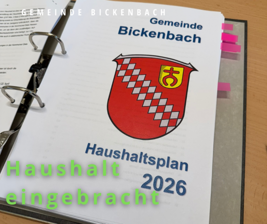 Ordner mit Haushaltsplan
