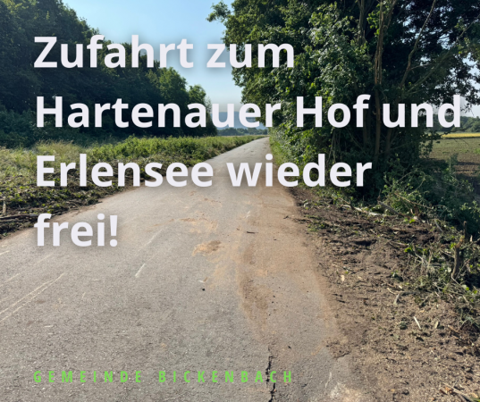 Umgefallener Baum