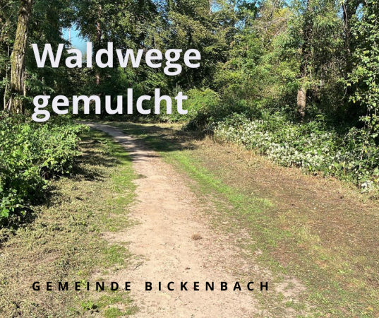 Wege