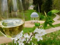 Weinfrühling 2024